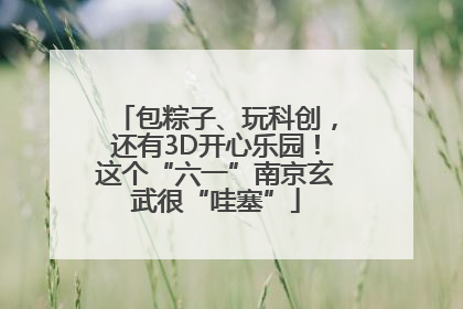 包粽子、玩科创，还有3D开心乐园！这个“六一”南京玄武很“哇塞”