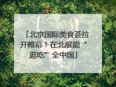 北京国际美食荟拉开帷幕！在北展能“逛吃”全中国