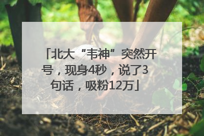 北大“韦神”突然开号，现身4秒，说了3句话，吸粉12万