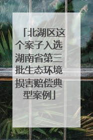 北湖区这个案子入选湖南省第三批生态环境损害赔偿典型案例