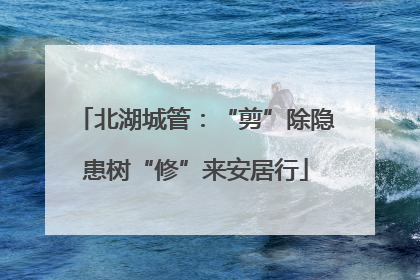 北湖城管：“剪”除隐患树“修”来安居行