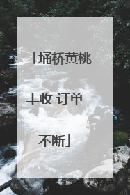 埇桥黄桃丰收 订单不断