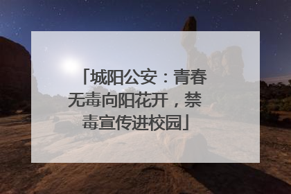 城阳公安：青春无毒向阳花开，禁毒宣传进校园