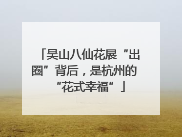 吴山八仙花展“出圈”背后，是杭州的“花式幸福”