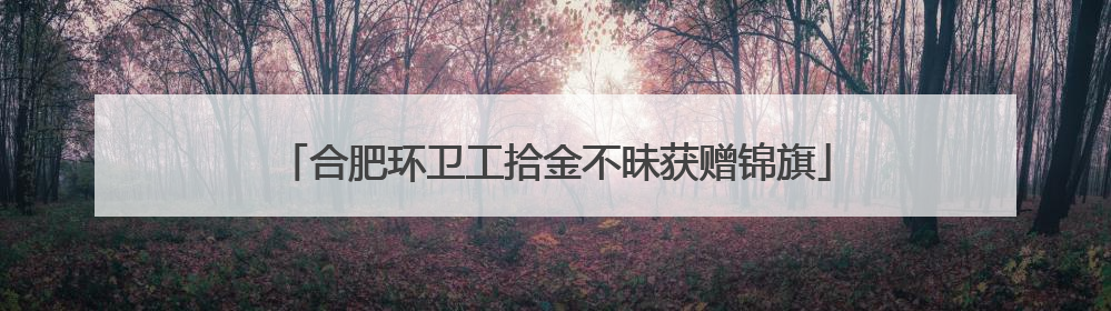 合肥环卫工拾金不昧获赠锦旗