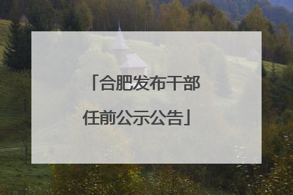 合肥发布干部任前公示公告
