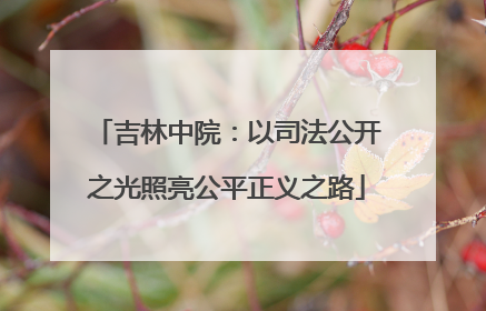 吉林中院：以司法公开之光照亮公平正义之路