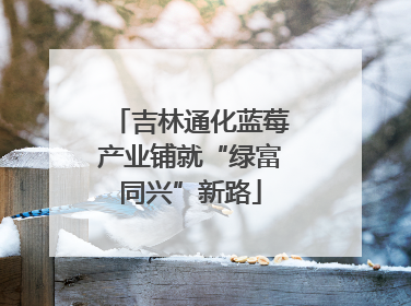 吉林通化蓝莓产业铺就“绿富同兴”新路