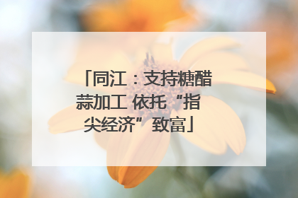 同江：支持糖醋蒜加工 依托“指尖经济”致富