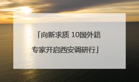 向新求质 10国外籍专家开启西安调研行