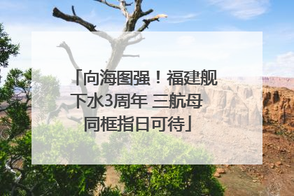向海图强！福建舰下水3周年 三航母同框指日可待