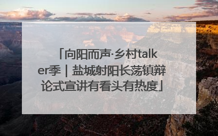 向阳而声·乡村talker季｜盐城射阳长荡镇辩论式宣讲有看头有热度