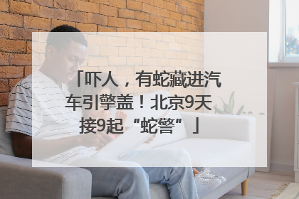 吓人，有蛇藏进汽车引擎盖！北京9天接9起“蛇警”