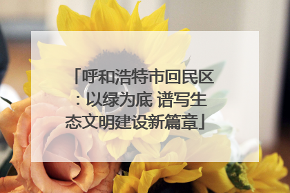 呼和浩特市回民区：以绿为底 谱写生态文明建设新篇章