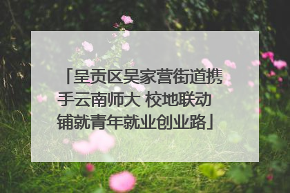 呈贡区吴家营街道携手云南师大 校地联动铺就青年就业创业路