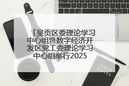 呈贡区委理论学习中心组暨数字经济开发区党工委理论学习中心组举行2025年第七次学习会议