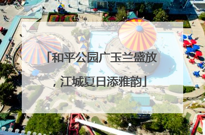 和平公园广玉兰盛放，江城夏日添雅韵