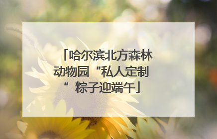 哈尔滨北方森林动物园“私人定制”粽子迎端午