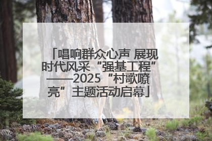 唱响群众心声 展现时代风采“强基工程”——2025“村歌嘹亮”主题活动启幕