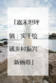 嘉禾坦坪镇：实干绘就乡村振兴新画卷