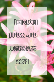 国网庆阳供电公司电力赋能桃花经济