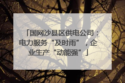 国网沙县区供电公司：电力服务“及时雨”，企业生产“动能强”