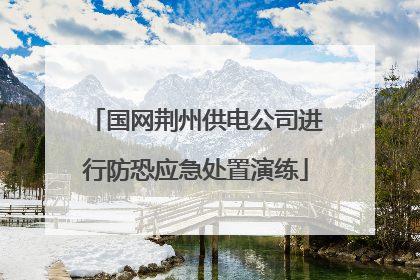 国网荆州供电公司进行防恐应急处置演练