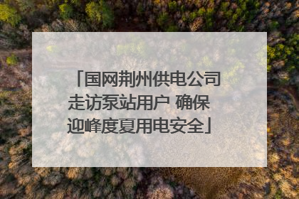 国网荆州供电公司走访泵站用户 确保迎峰度夏用电安全
