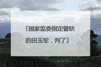 国家监委指定管辖的田玉军，判了