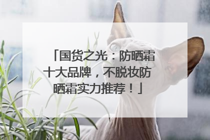 国货之光：防晒霜十大品牌，不脱妆防晒霜实力推荐！