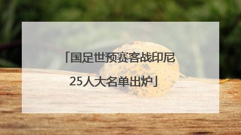 国足世预赛客战印尼25人大名单出炉