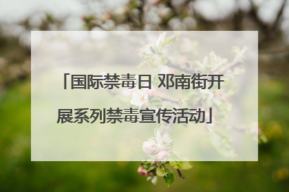 国际禁毒日 邓南街开展系列禁毒宣传活动