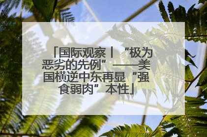 国际观察丨“极为恶劣的先例”——美国横逆中东再显“强食弱肉”本性