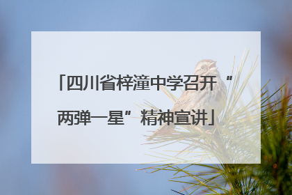 四川省梓潼中学召开“两弹一星”精神宣讲