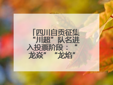 四川自贡征集“川超”队名进入投票阶段：“龙焱”“龙焰”暂居一二名