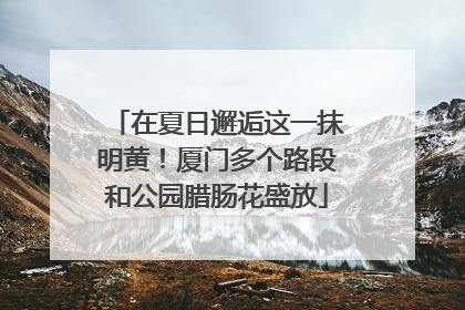 在夏日邂逅这一抹明黄！厦门多个路段和公园腊肠花盛放