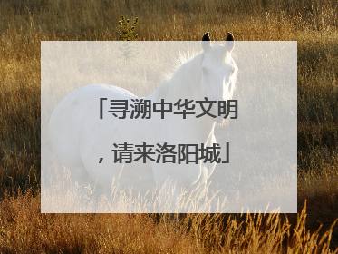 寻溯中华文明，请来洛阳城