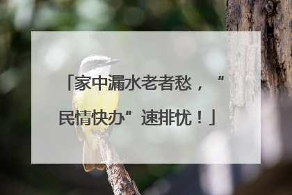 家中漏水老者愁，“民情快办”速排忧！
