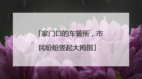 家门口的车管所，市民纷纷竖起大拇指