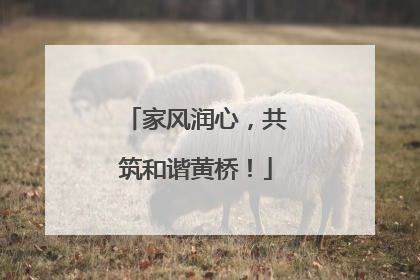 家风润心，共筑和谐黄桥！