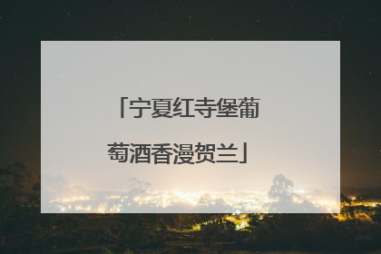 宁夏红寺堡葡萄酒香漫贺兰