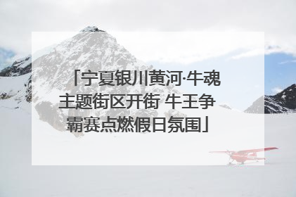 宁夏银川黄河·牛魂主题街区开街 牛王争霸赛点燃假日氛围