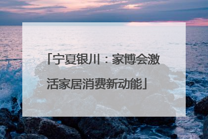 宁夏银川：家博会激活家居消费新动能