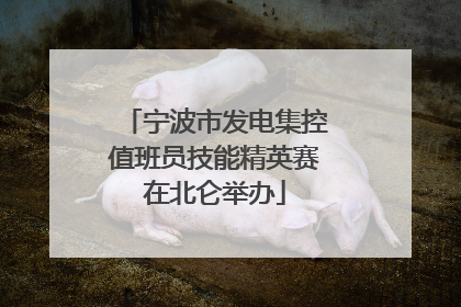 宁波市发电集控值班员技能精英赛在北仑举办