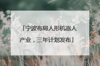 宁波布局人形机器人产业，三年计划发布
