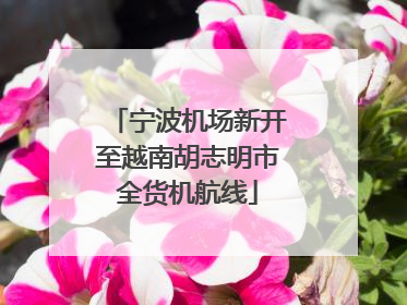 宁波机场新开至越南胡志明市全货机航线