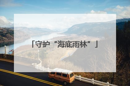 守护“海底雨林”