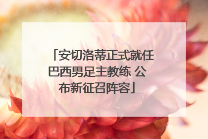 安切洛蒂正式就任巴西男足主教练 公布新征召阵容