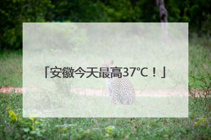 安徽今天最高37℃！