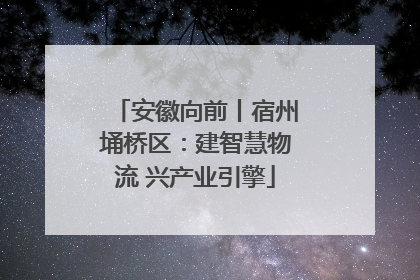 安徽向前丨宿州埇桥区：建智慧物流 兴产业引擎